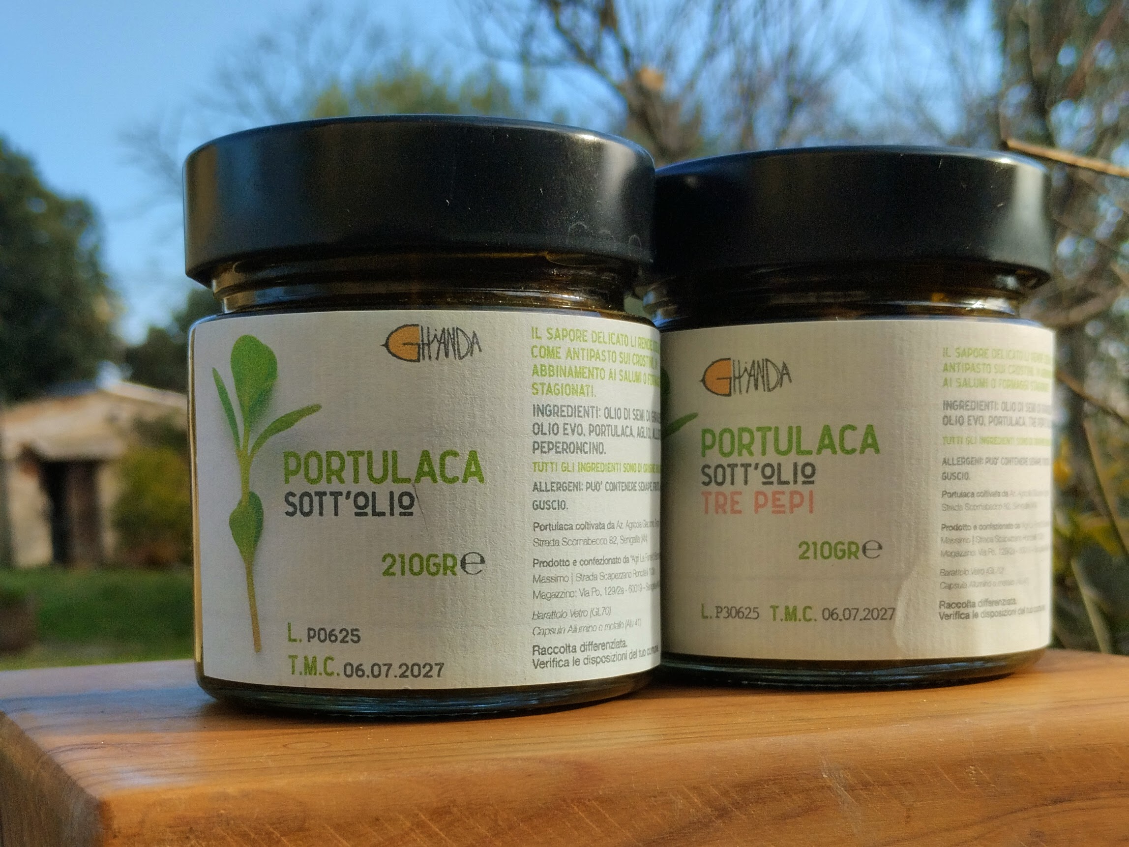 portulaca-sott'olio