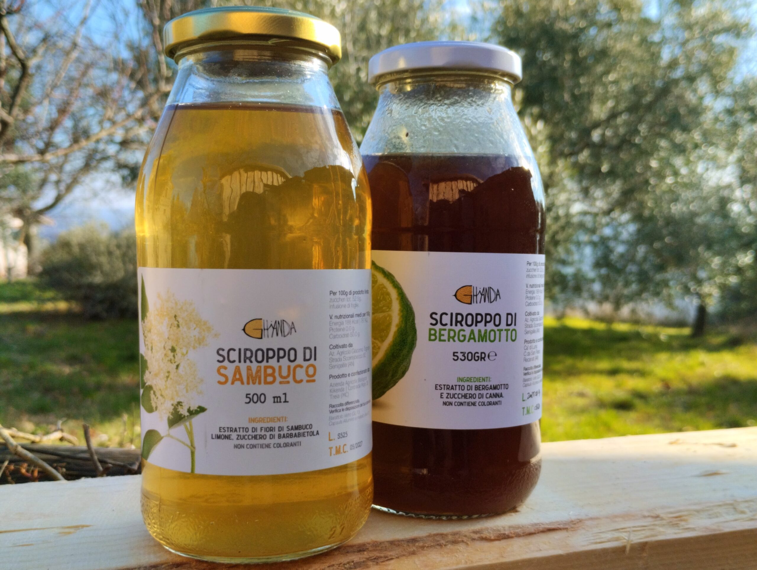 sciroppo-sambuco