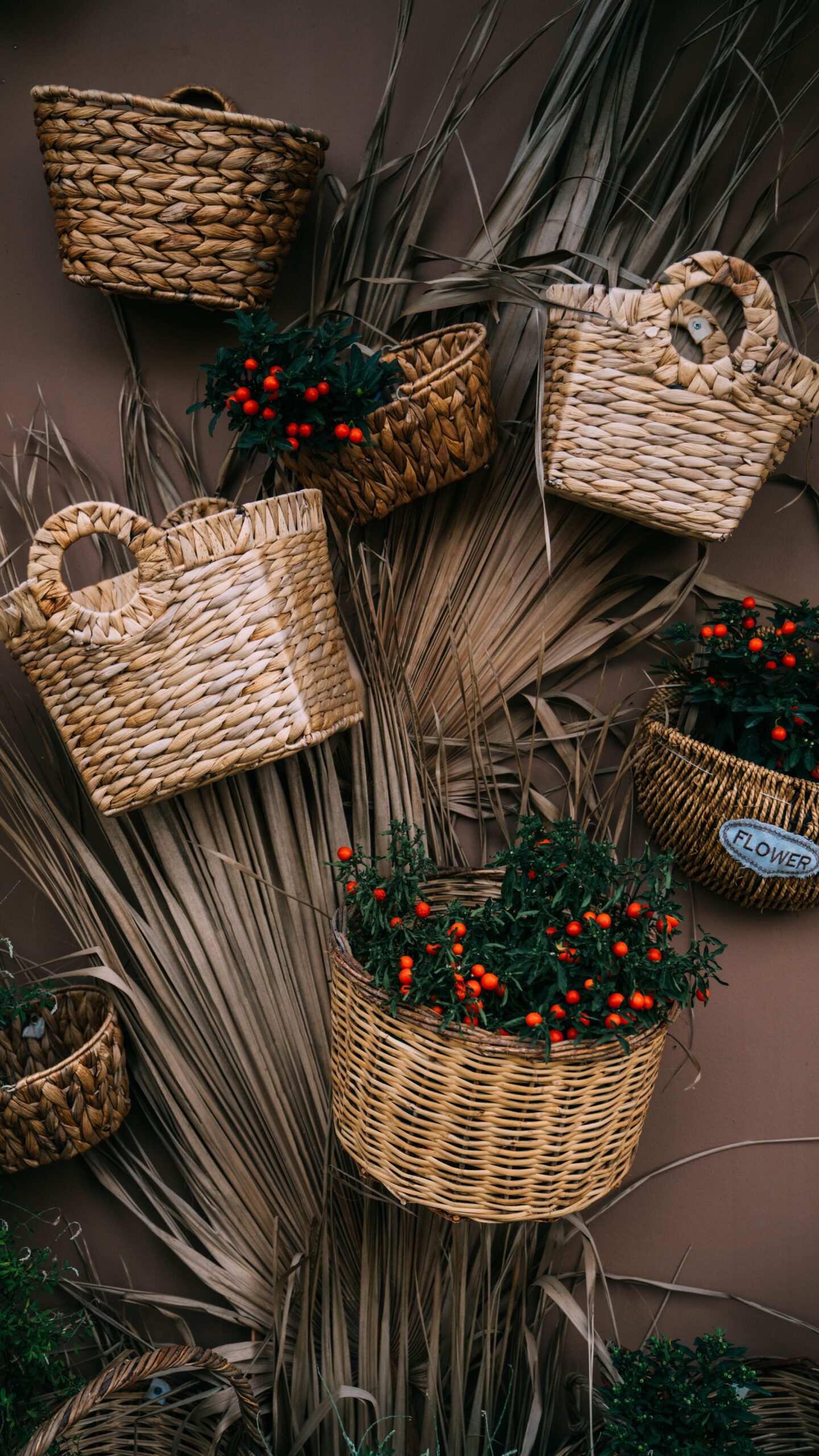 cesto-natale-cibo